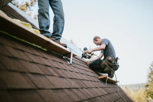 Best Roof Leak Repair  in Nelsonville, OH